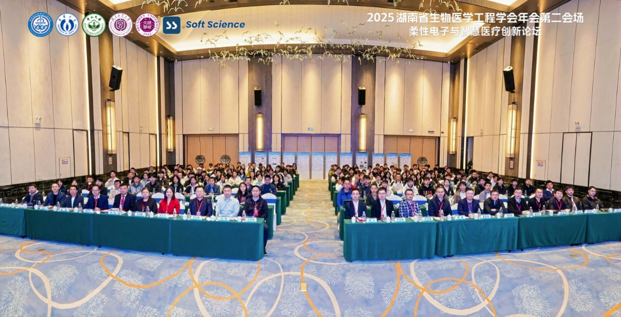 图片6
